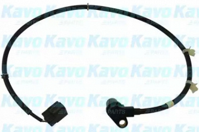 KAVO PARTS bas5581 -  Датчик, частота вращения колеса